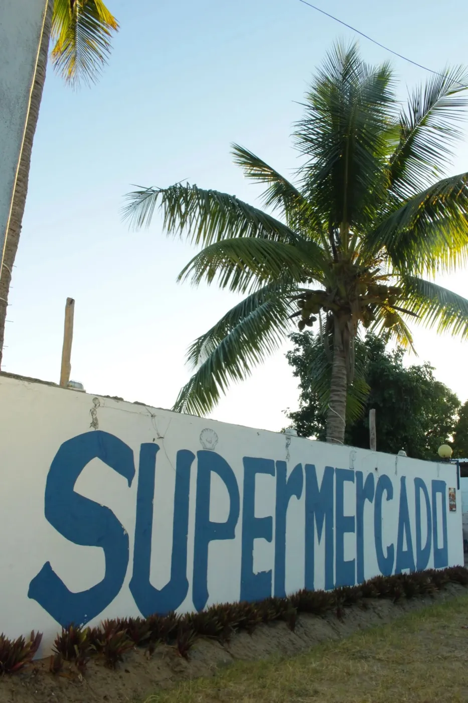 Supermercado painted on the outside wall, with a coconut palm